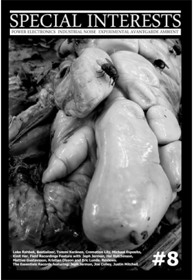 SPECIAL INTERESTS #8 zine